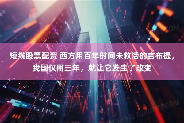 短线股票配资 西方用百年时间未救活的吉布提，我国仅用三年，就让它发生了改变